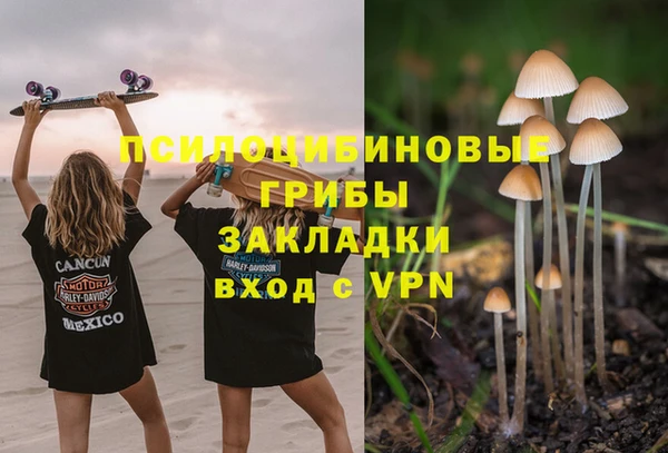 тгк Пролетарск