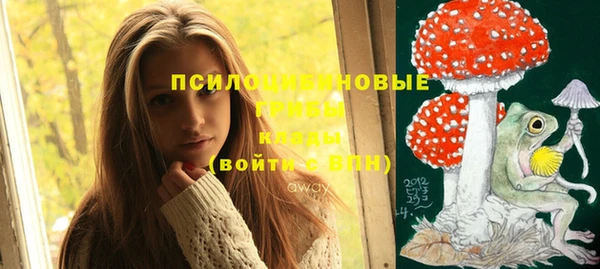 спиды Протвино